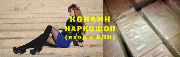 PSILOCYBIN Белокуриха
