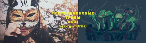 PSILOCYBIN Белокуриха