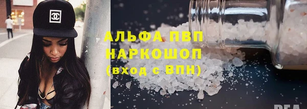 PSILOCYBIN Белокуриха