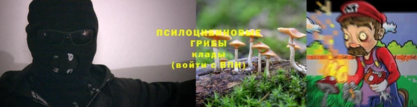 MDMA Premium VHQ Беломорск