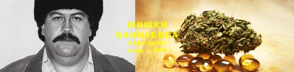 PSILOCYBIN Белокуриха