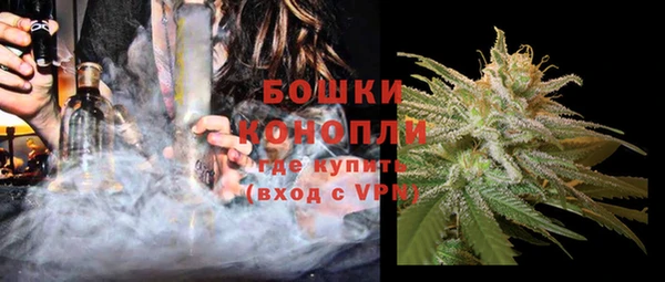 PSILOCYBIN Белокуриха