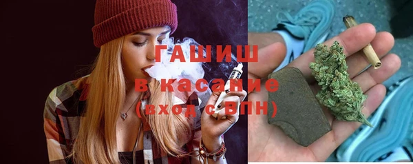 PSILOCYBIN Белокуриха