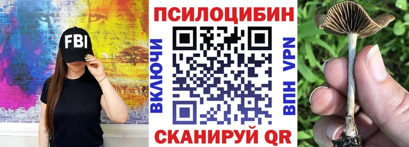 блэк спрут сайт  Чита  Псилоцибиновые грибы MAGIC MUSHROOMS  где купить  